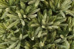 7ft Pre-lit Washington Valley Spruce Life Like Artificial Christmas Tree -Christmas Sales Store 05r5036 4