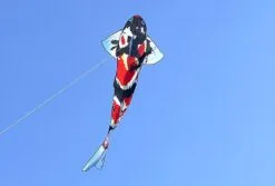 Free Shipping Large Carp Kites Fish Kite Outdoor Flying Toys For Kids Kite Windsock Professional Wind Kites Parachute Show Kites -Christmas Sales Store 596025223 max