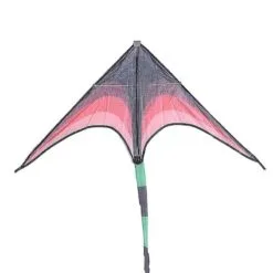 Delta Kites Tails With Handle Outdoor Toys For Kids Kites Nylon Ripstop Albatros