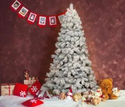 Front Page -Christmas Sales Store BMSF 60LW3K350U Lifestyle balmoral 0