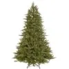 6.5ft Dual Infinity Light Bedminster Spruce Feel-Real Artificial Christmas Tree