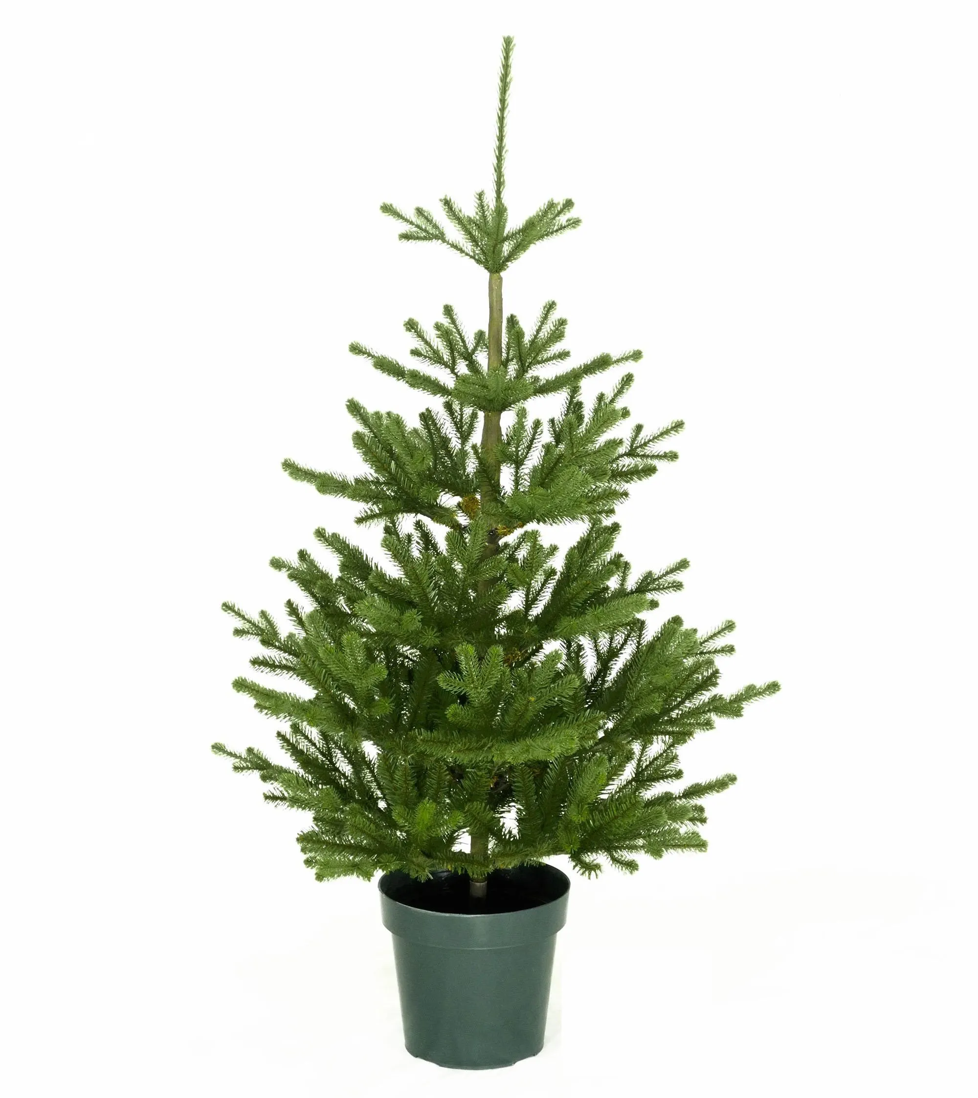 4ft Imperial Spruce Potted Feel-Real Artificial Christmas Tree 3 4ft Imperial Spruce Potted Feel-Real Artificial Christmas Tree
