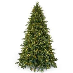 7ft Pre-lit Lawrence Fir Feel Real Artificial Christmas Tree With 700 Warm Lights