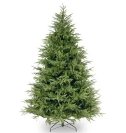 6.5ft Frasier Grande Feel Real Artificial Christmas Tree