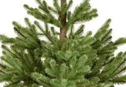 4ft Imperial Spruce Potted Feel-Real Artificial Christmas Tree 7 4ft Imperial Spruce Potted Feel-Real Artificial Christmas Tree -Christmas Sales Store peis3 702 40 mine