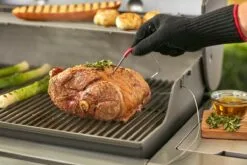 Weber IGrill 3 -Christmas Sales Store probe removal