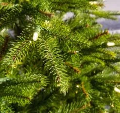 7.5ft Pre-lit Weeping Spruce Feel Real Artificial Christmas Tree With 600 Warm Lights 8 7.5ft Pre-lit Weeping Spruce Feel Real Artificial Christmas Tree With 600 Warm Lights -Christmas Sales Store weeping spruce 7ft prelit detail2 1 1